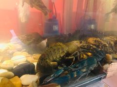 -戴记龙虾(天泽街店)