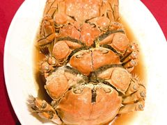 花雕大闸蟹-老吉士酒家(天平路店)