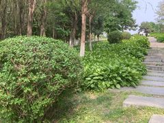 -莫子山公园