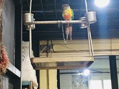 -大家乐东北菜(富河园店)