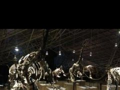 -世界恐龙谷景区