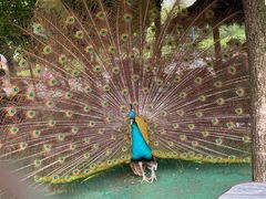 -陕西自然博物馆