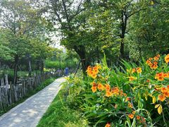 -福田红树林生态公园