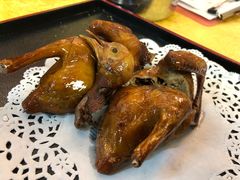 -鸽王世家(东华东路店)