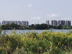 -立新湖公园