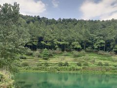 -九龙潭景区