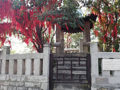 -云龙山