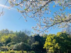 -杭州植物园