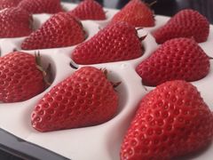 -一亩鲜生(凤屿店)