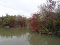 -吴淞炮台湾湿地森林公园烧烤区