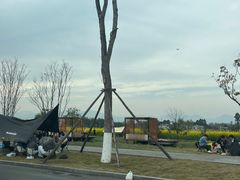 -桤木河湿地公园