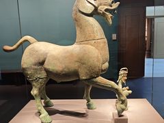 -广西壮族自治区博物馆