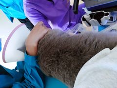 -瑞派宠物医院·24小时骨科·心脏·核磁(哈尔滨南岗店)