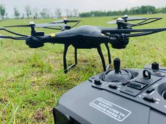 -春花秋色城市公园