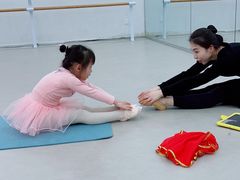 -红舞鞋舞蹈教育(近江校区)