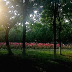 -倩极·精研痘敏肌管理