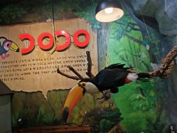 -Zoolung Zoolung动物主题公园(海信广场店)