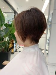 -程Studio