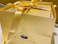 -BLACKSWAN黑天鹅(环球店)
