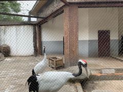 -南昌动物园