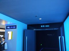 -奥斯卡升龙国际影城(RealD Cinema)