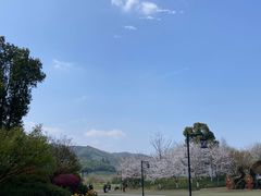 -径山花海