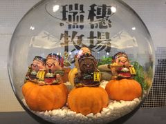 -瑞穗牧场