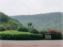 -桃花岭景区
