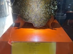 -紫金山天文台