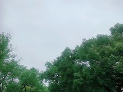 -红花湖景区