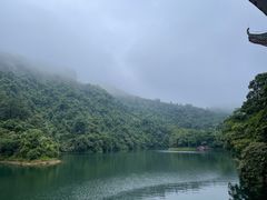 -鼎湖山风景区