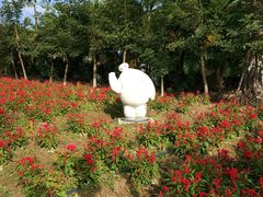 -广东花都香草世界旅游度假区