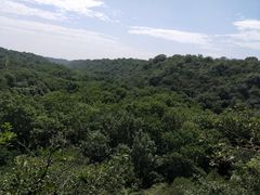 -大青沟风景区