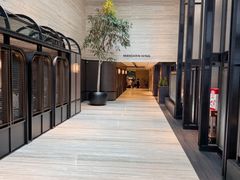 -新加坡乌节希尔顿酒店 (SG Clean)