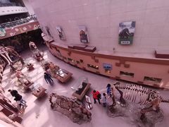 -陕西自然博物馆