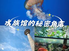 -太平洋海底世界