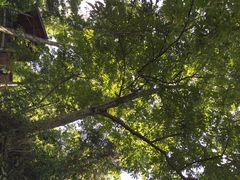 藏龙百瀑-藏龙百瀑风景区