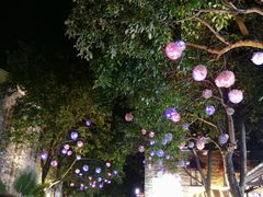 -黄祥华养生堂·炖汤·营养蒸饭(岭南天地店)
