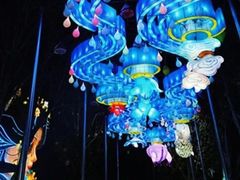 -淄博花灯齐彩城