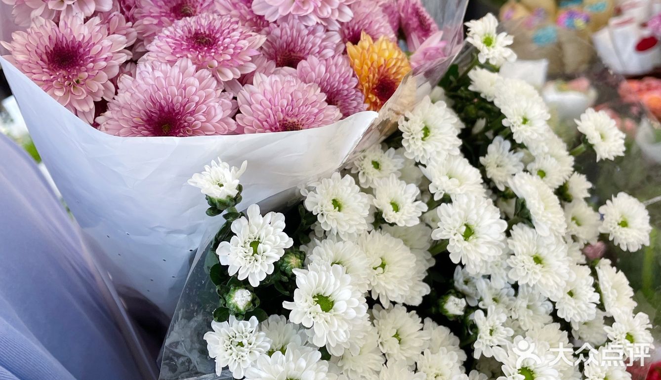 鲜花世界女孩的世界