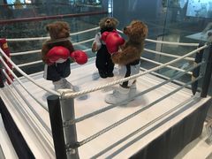 -济州岛泰迪熊博物馆