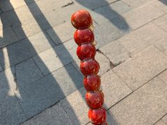 -和禄德冰糖葫芦