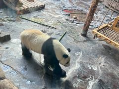 -济南野生动物世界