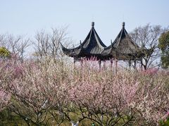 -上海海湾国家森林公园