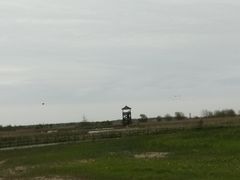 -盐城丹顶鹤湿地生态旅游区