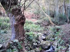-会稽山峡洞漂流-上青古道