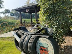 -汤山温泉房车营地 茶温泉