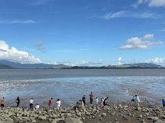 -深圳湾公园(南山区)