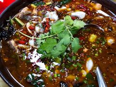 水煮鱼-金麒麟美食城