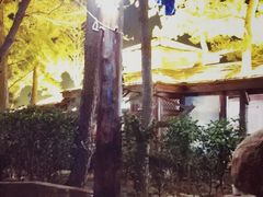 -威海天沐度假区温泉
